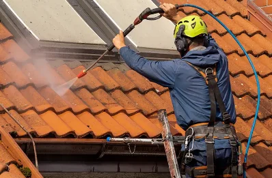 Démoussage et hydrofuge de toiture à Anterrieux